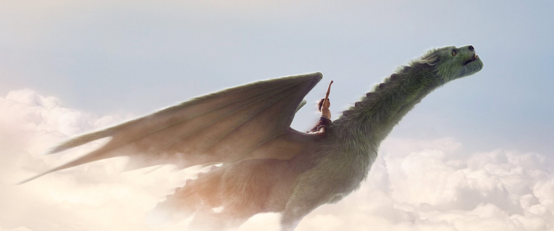 Pete's Dragon background