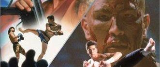 Kickboxer 4: The Aggressor background