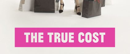 The True Cost background