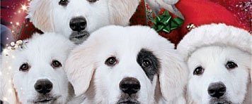 Santa Paws 2: The Santa Pups background
