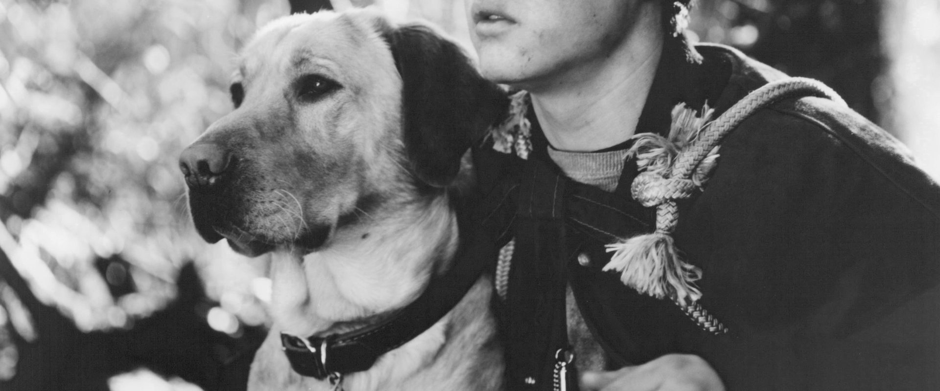 Far from Home: The Adventures of Yellow Dog background