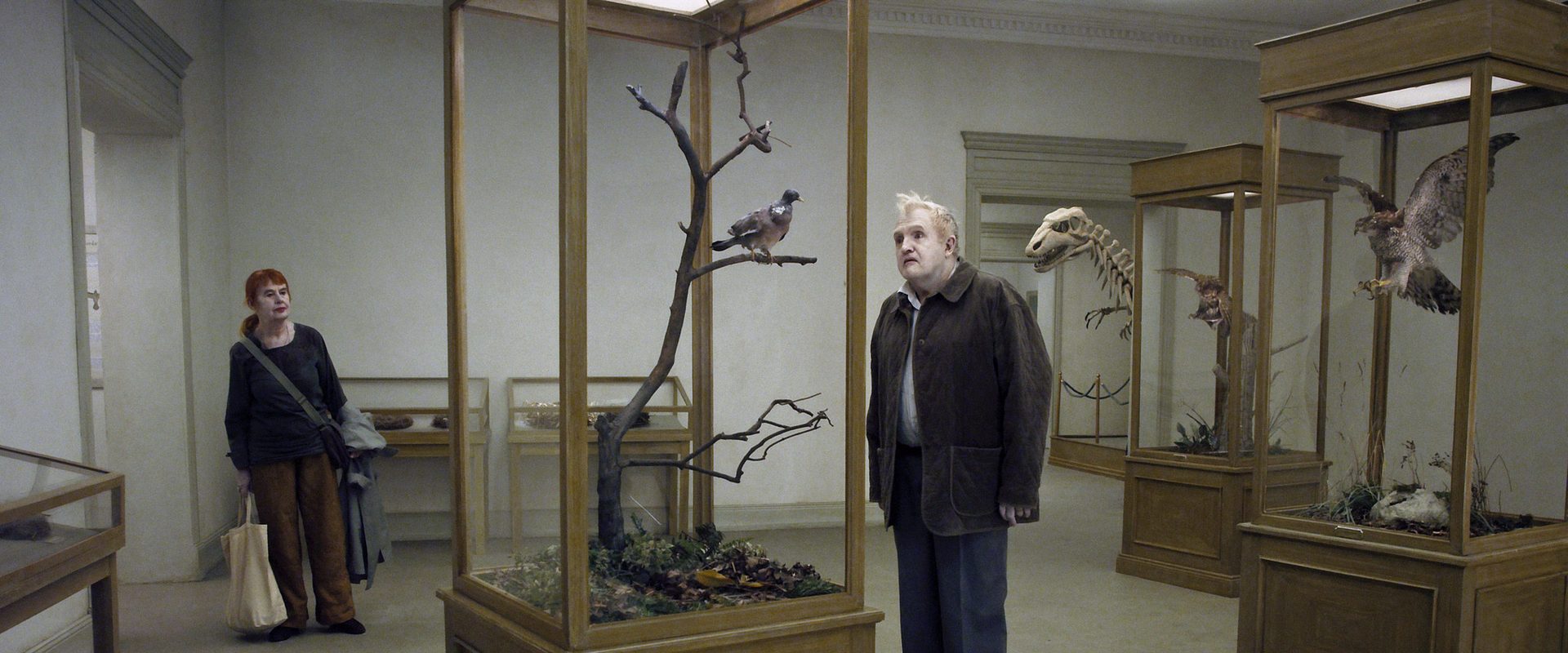 A Pigeon Sat on a Branch Reflecting on Existence background