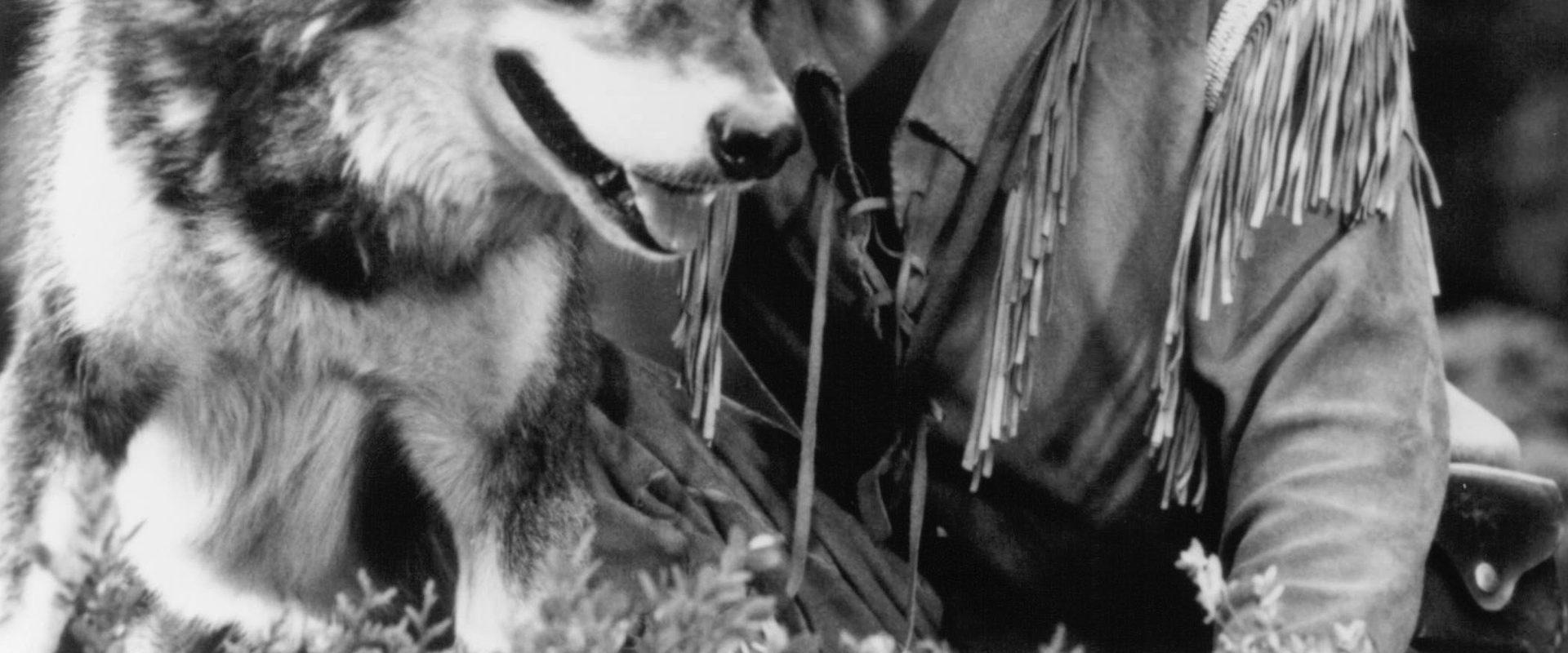 White Fang 2: Myth of the White Wolf background