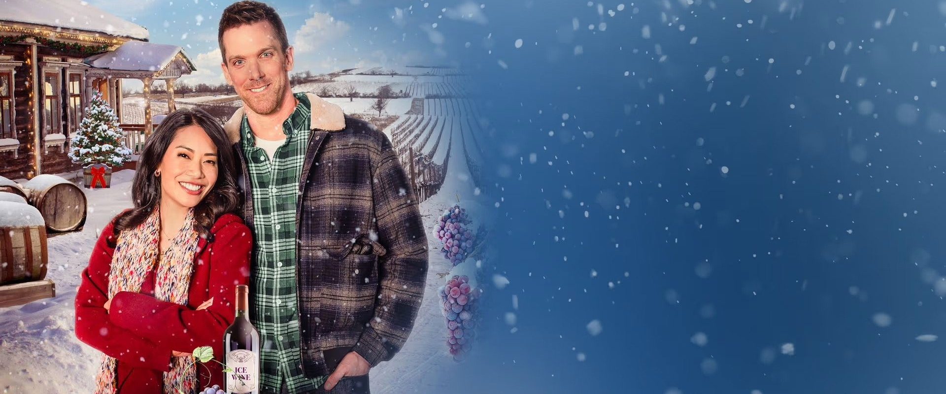 A Vineyard Christmas background