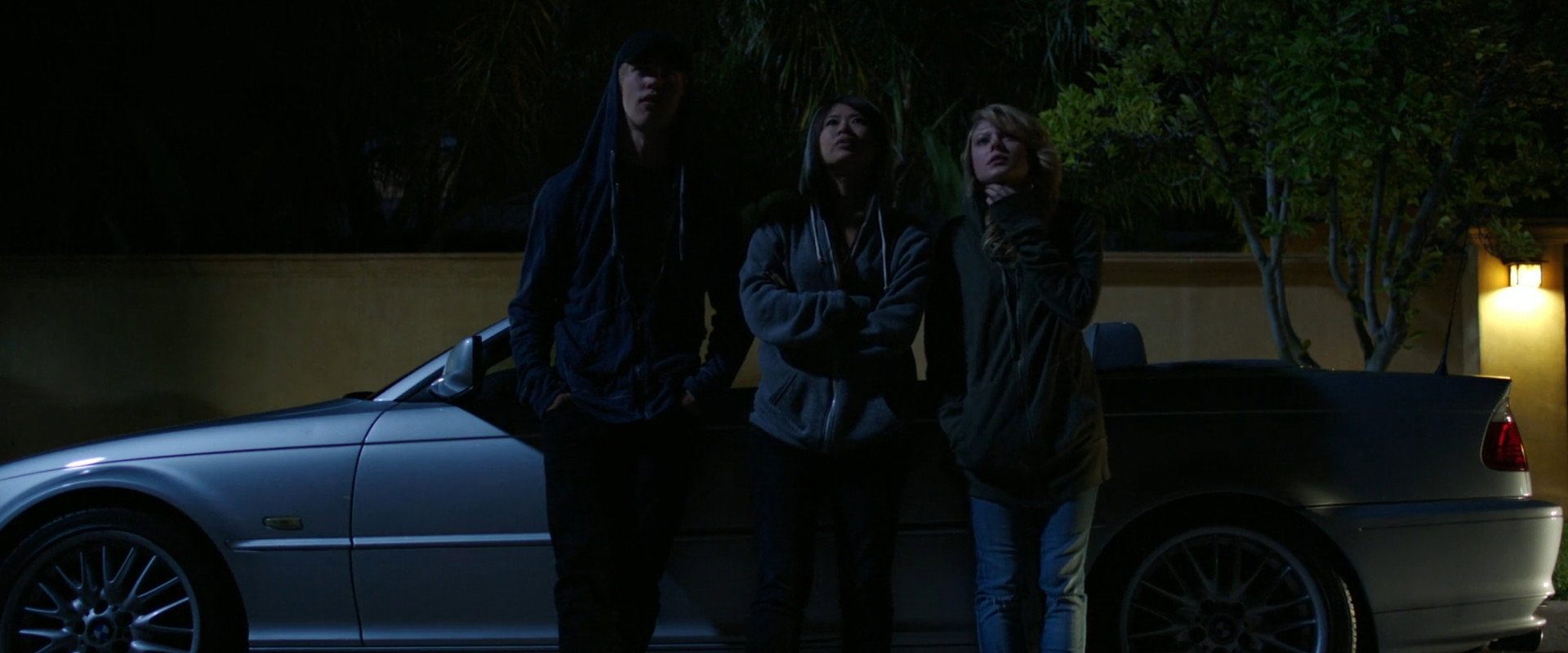 The Bling Ring background