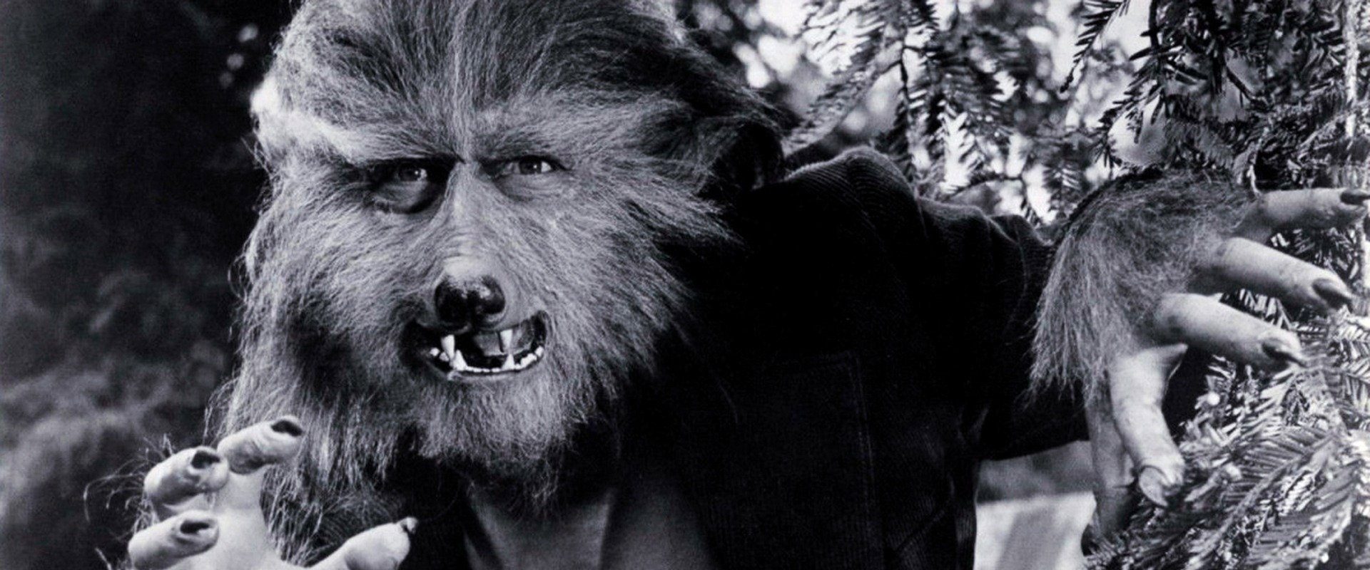 The Boy Who Cried Werewolf background