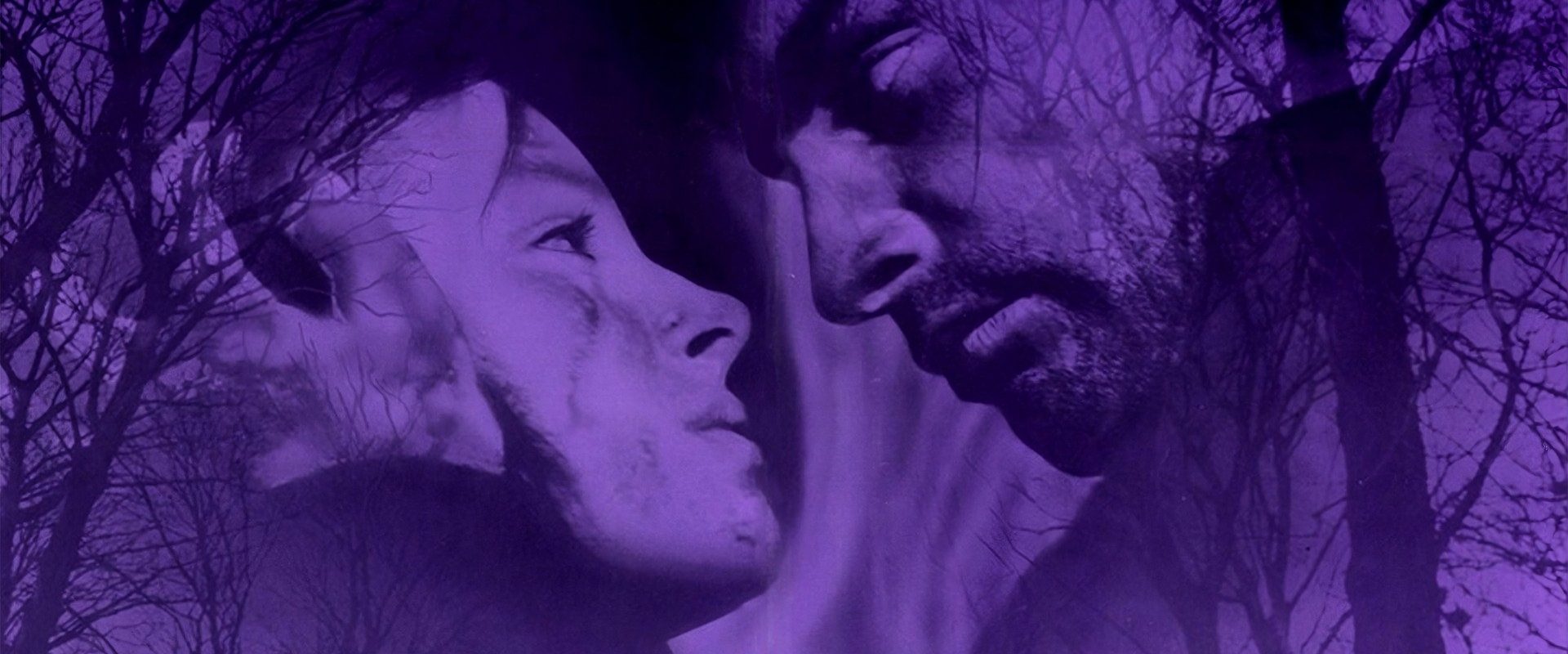 Wuthering Heights background