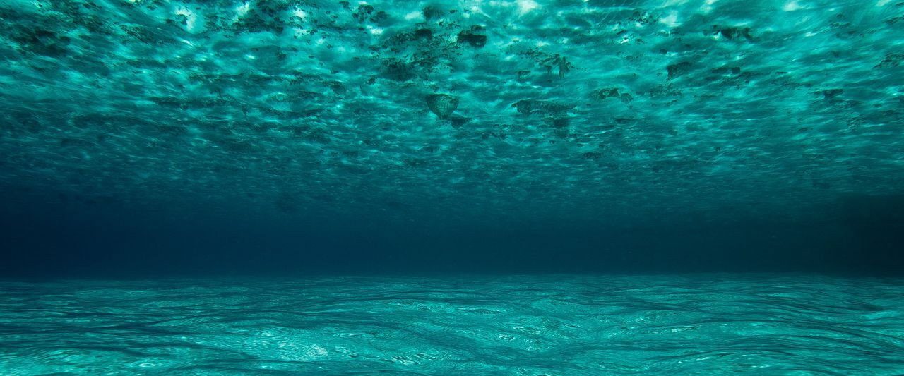 OceanWorld 3D background