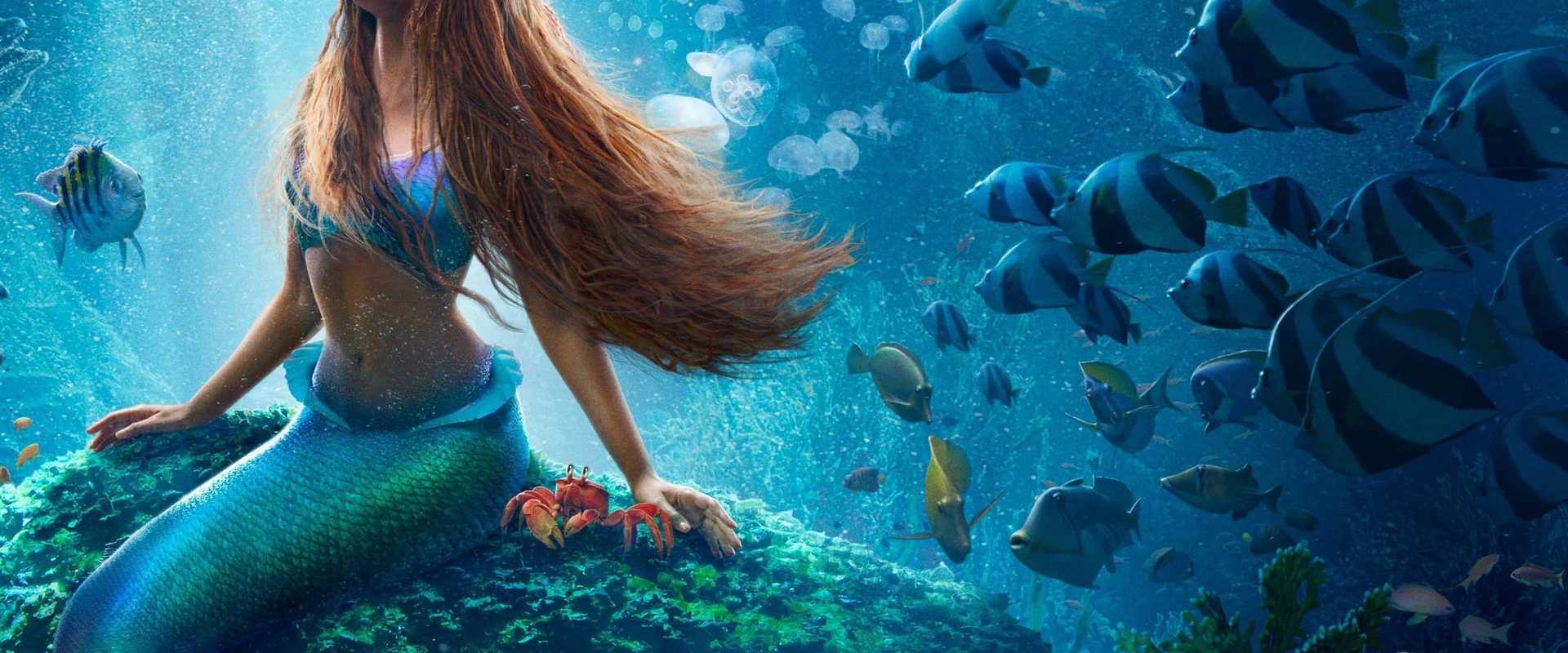 The Little Mermaid background
