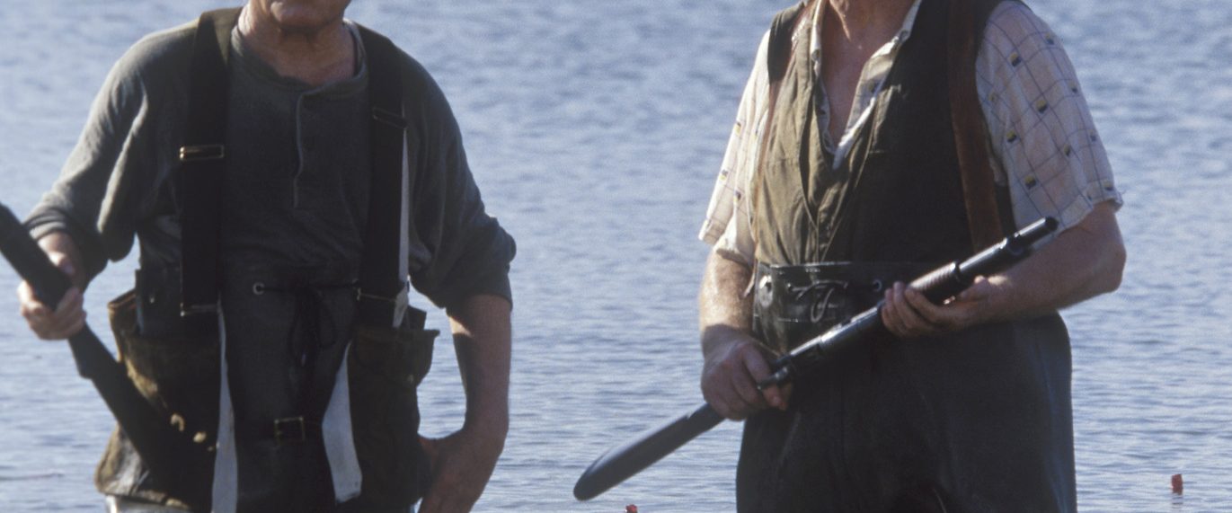 Secondhand Lions background