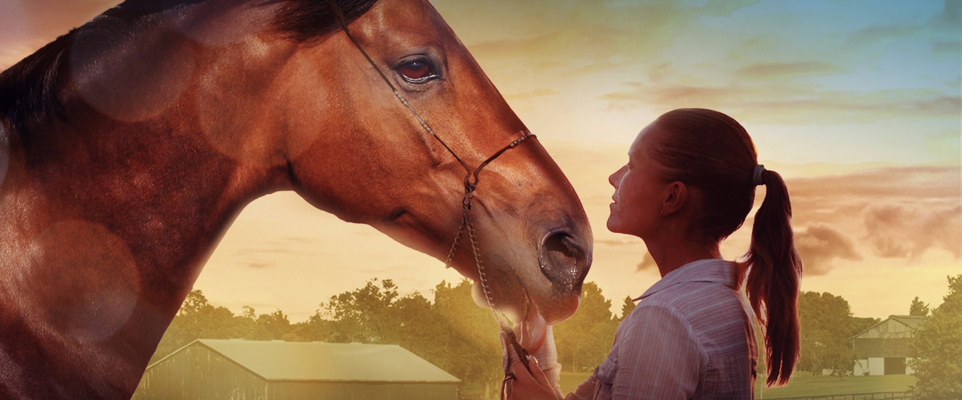 A Horse Tale background