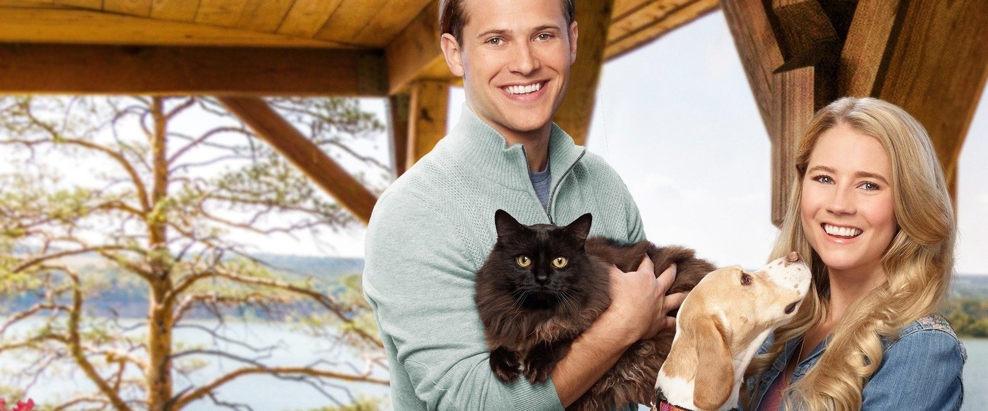 Like Cats & Dogs background