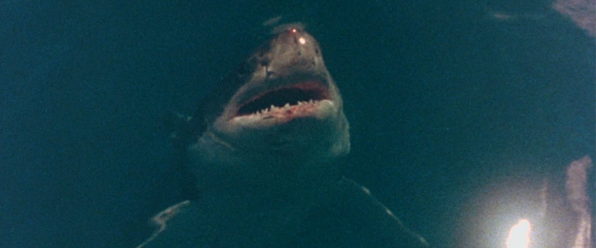 Cruel Jaws background