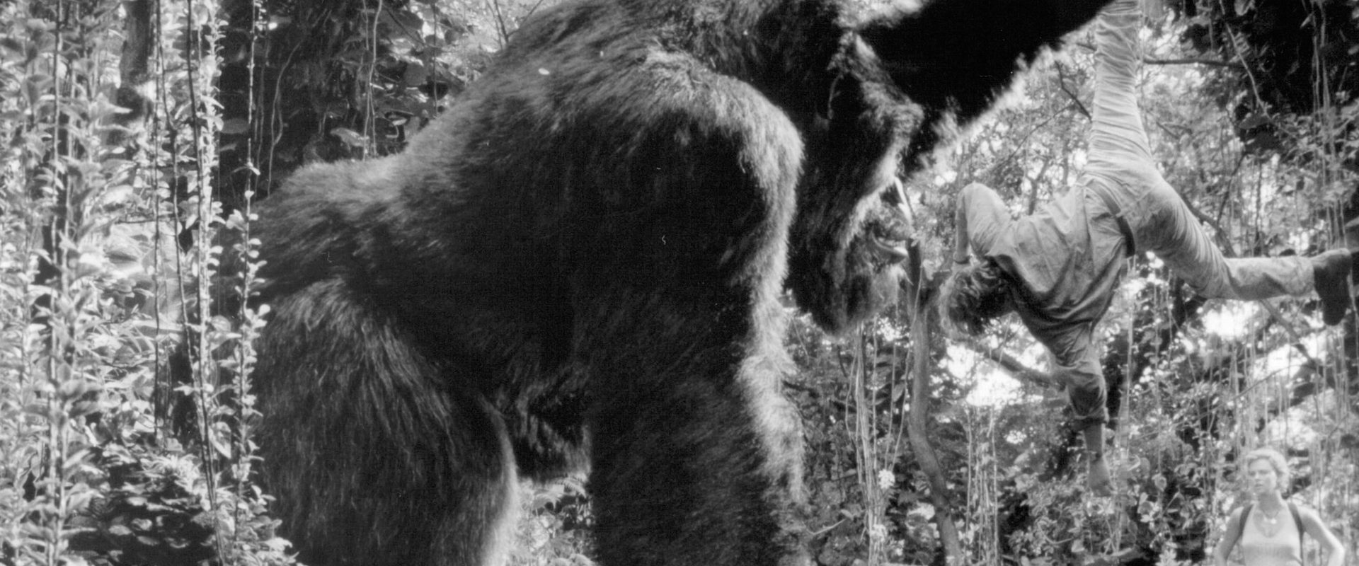 Mighty Joe Young background