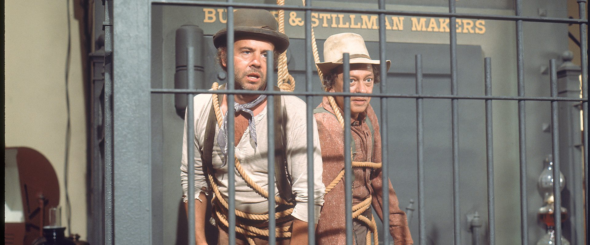 The Apple Dumpling Gang background
