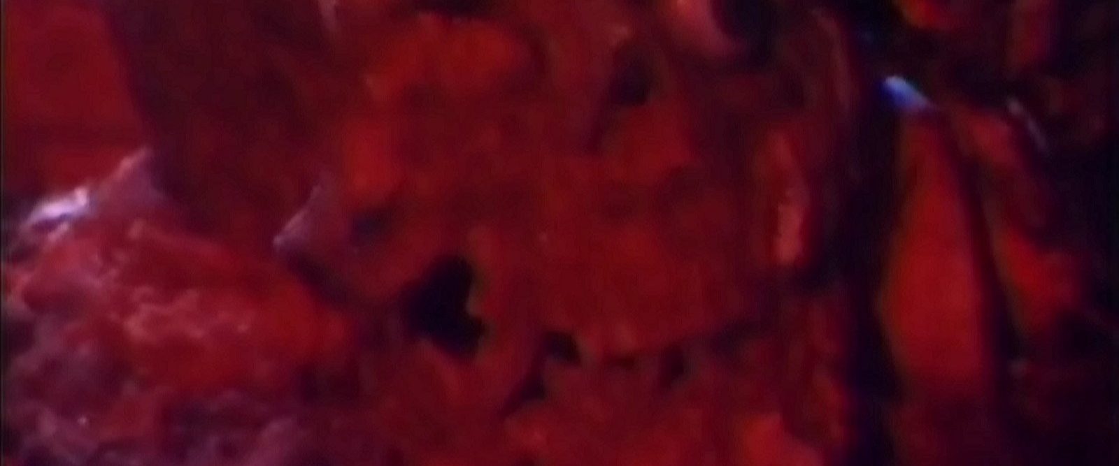 Things background