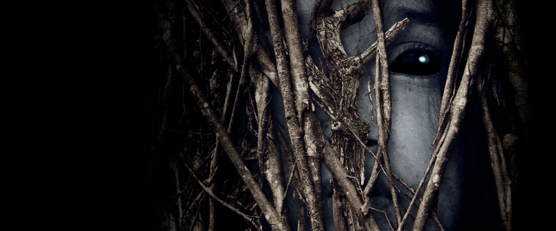 Behind the Trees background