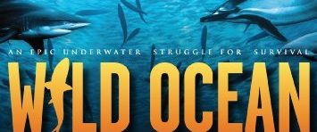 Wild Ocean background