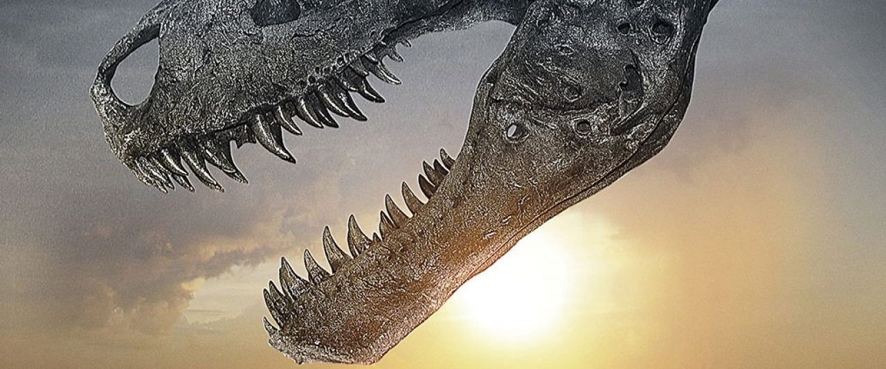 Dinosaur 13 background