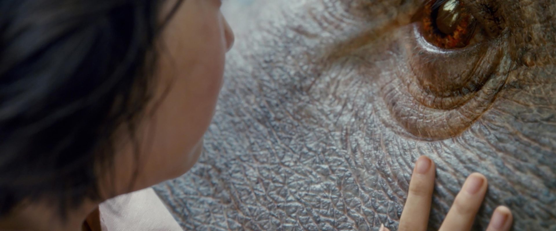Okja background