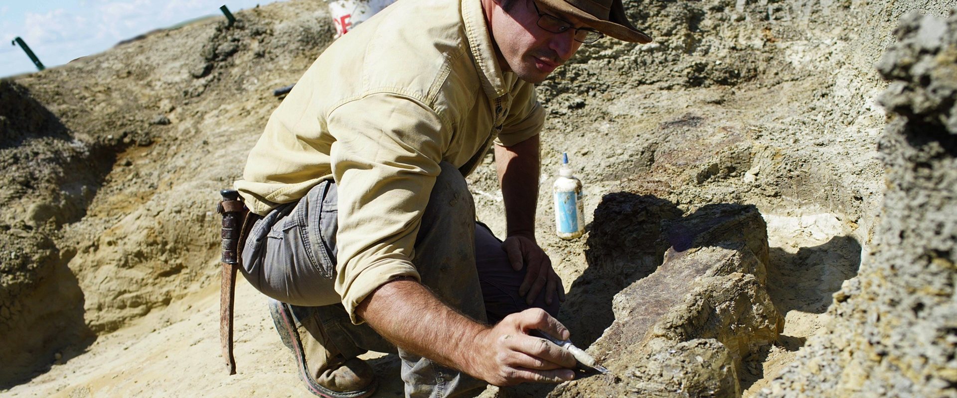 Dinosaurs: The Final Day with David Attenborough background