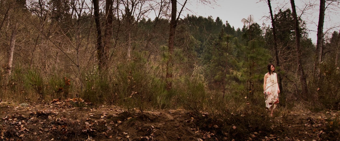 Rogue River background