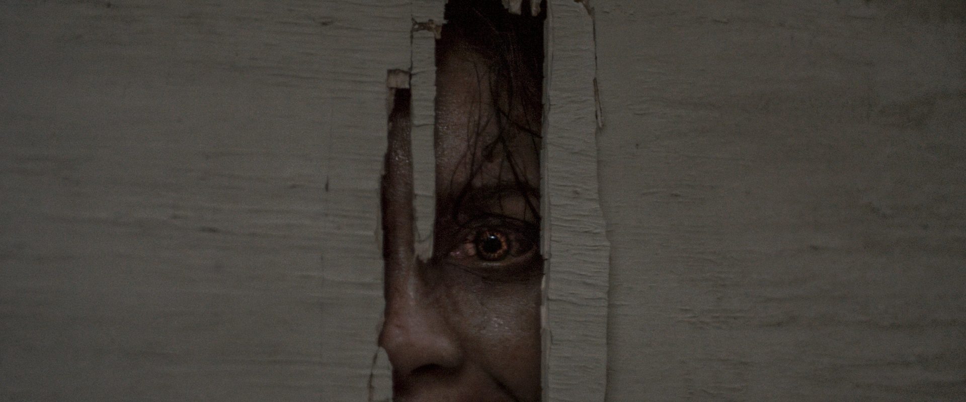Evil Dead Burn background