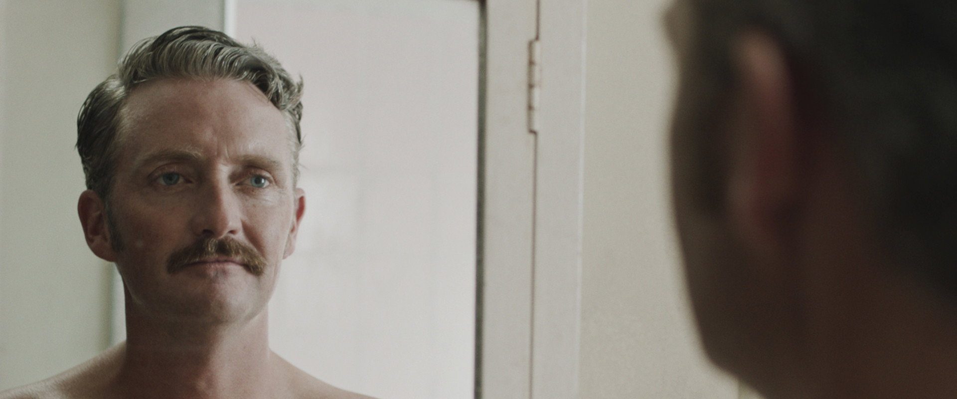 Hounds of Love background