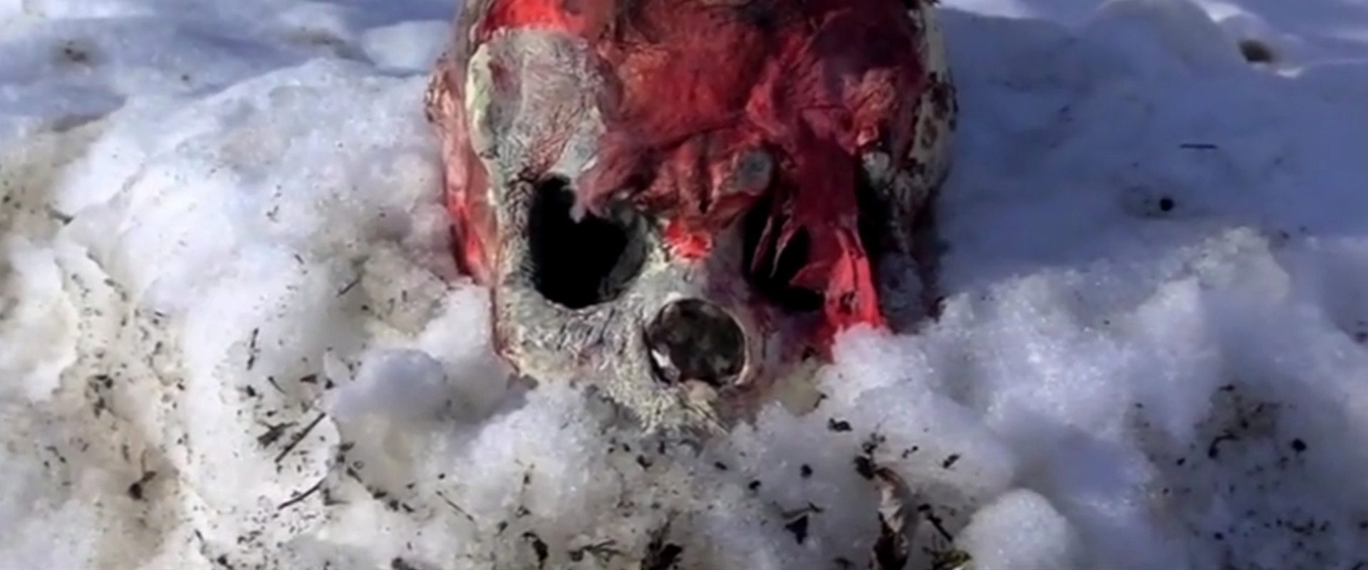 Camp Blood First Slaughter background