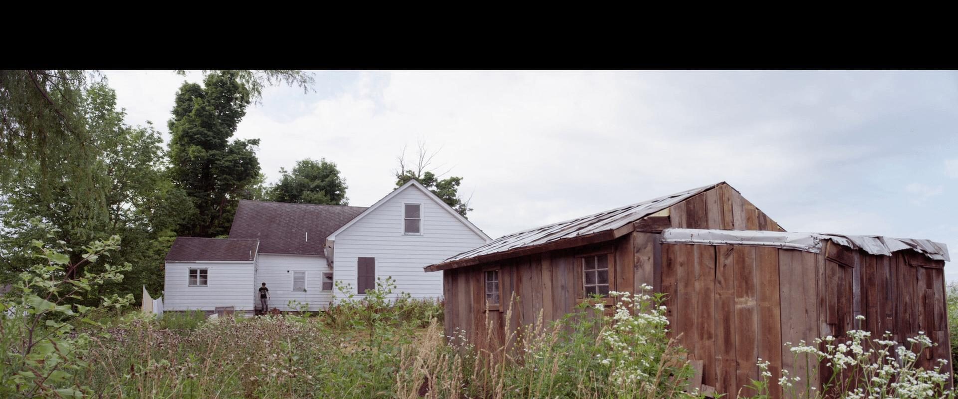 The Shed background