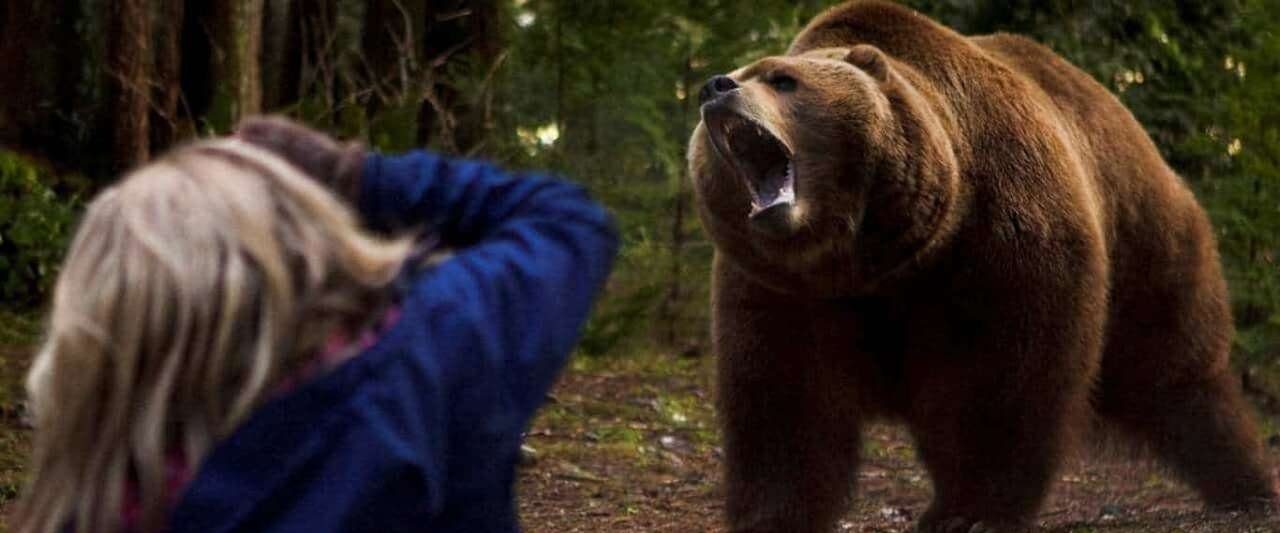Grizzly Rage background