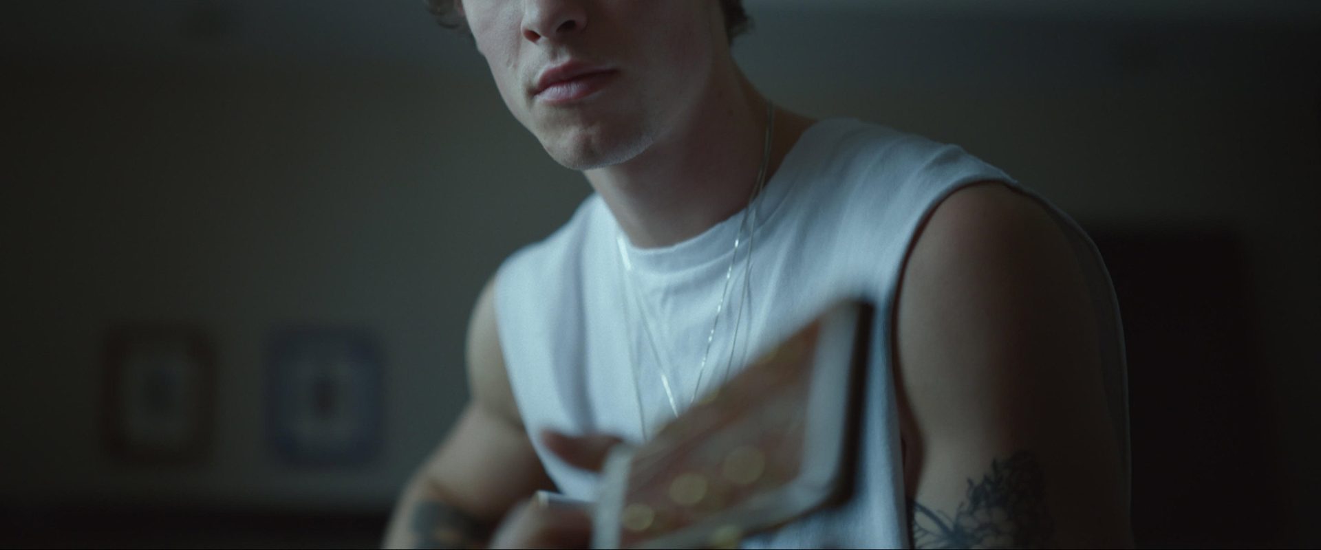 Shawn Mendes: In Wonder background