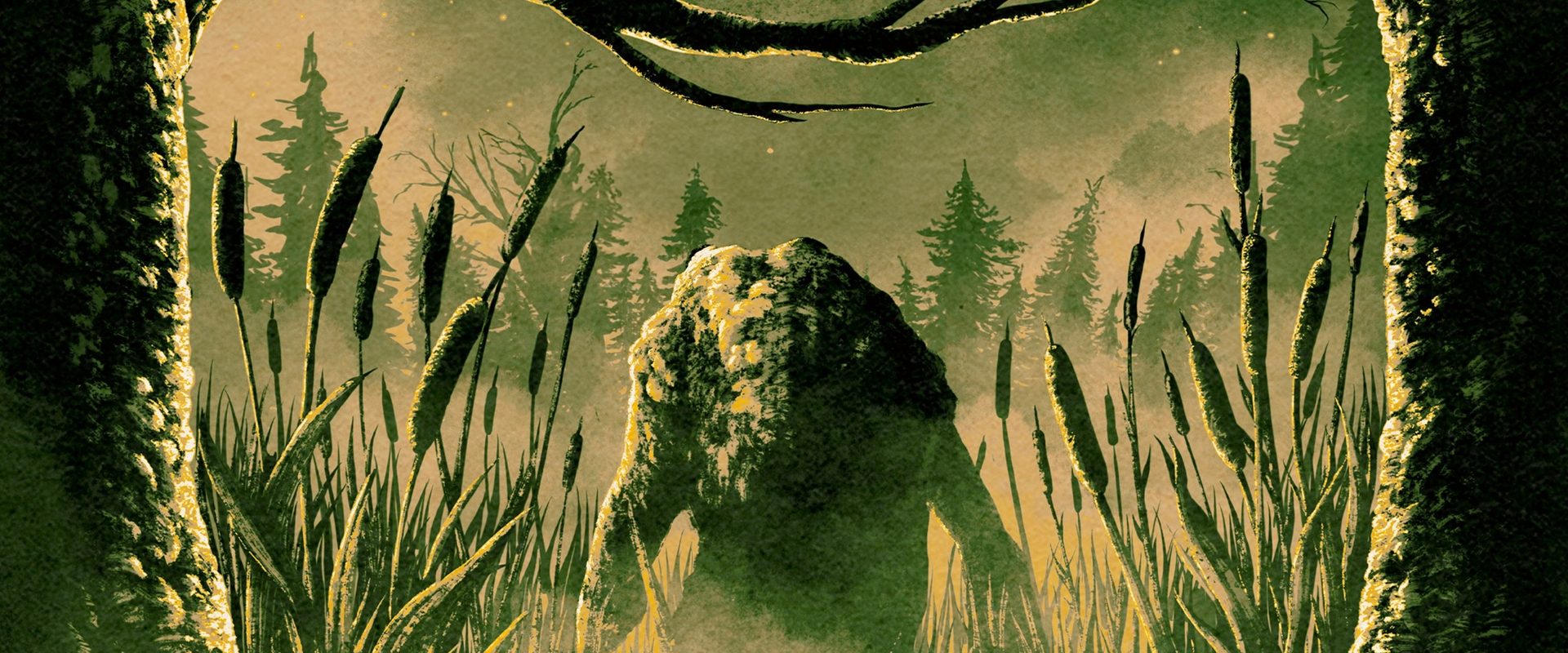 Frogman background