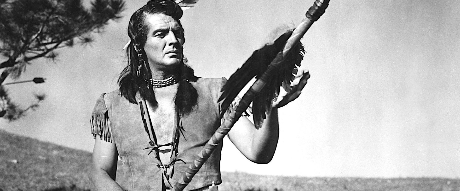 Chief Crazy Horse background