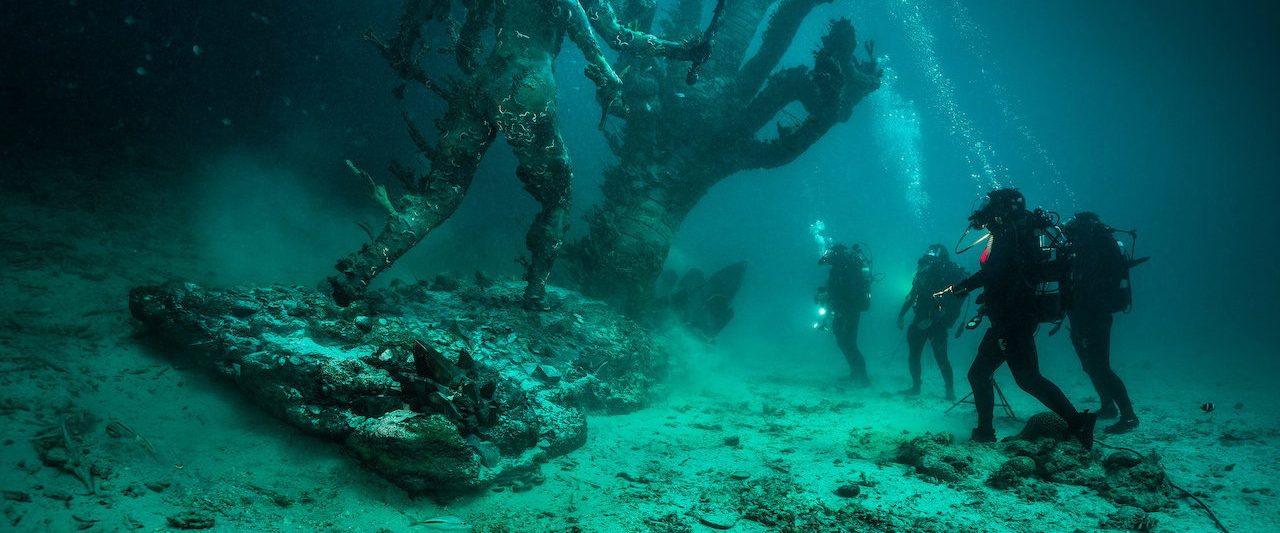 Treasures from the Wreck of the Unbelievable background