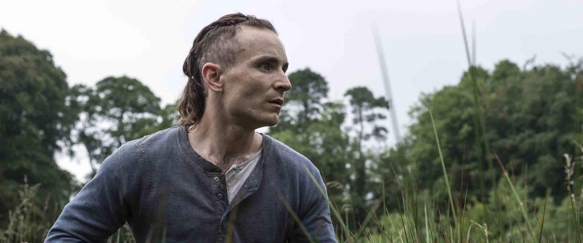 The Survivalist background