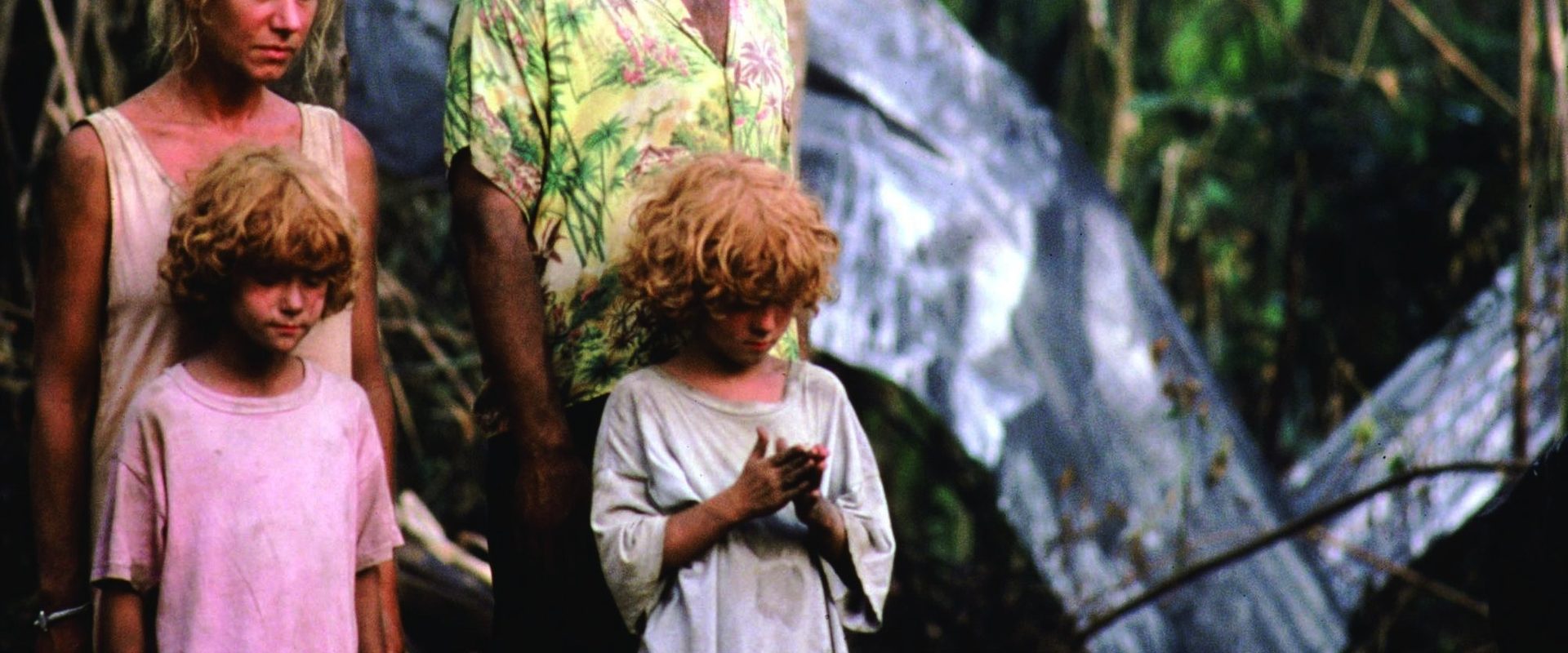 The Mosquito Coast background