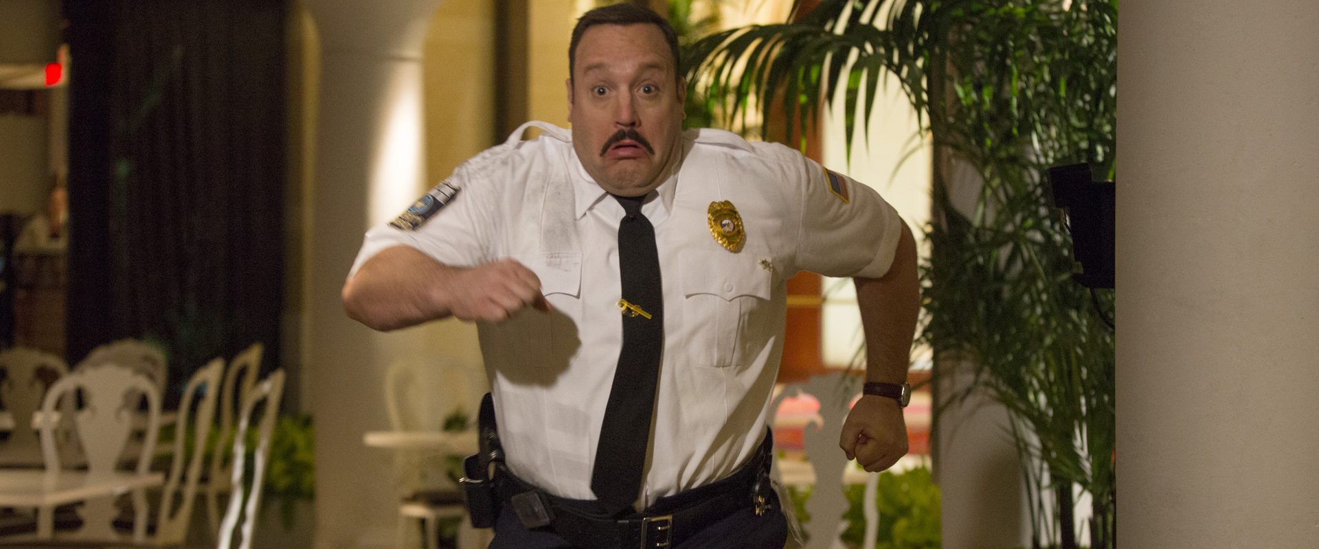 Paul Blart: Mall Cop 2 background