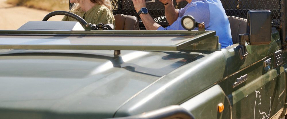 A Safari Romance background