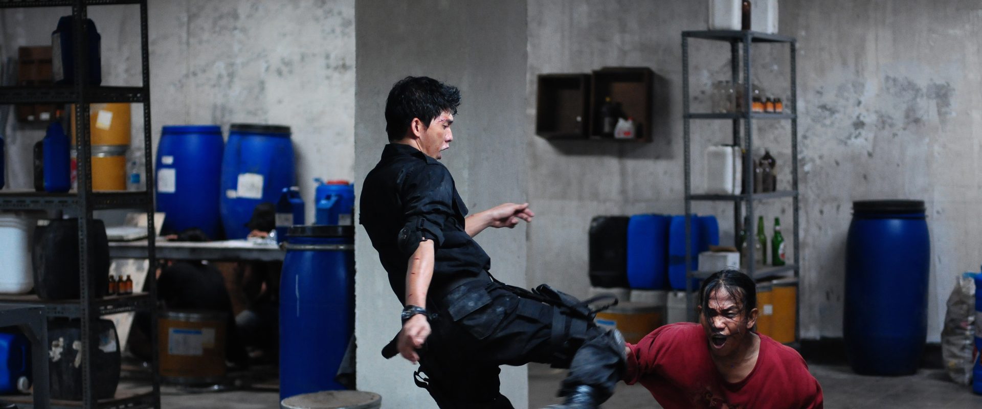 The Raid: Redemption background