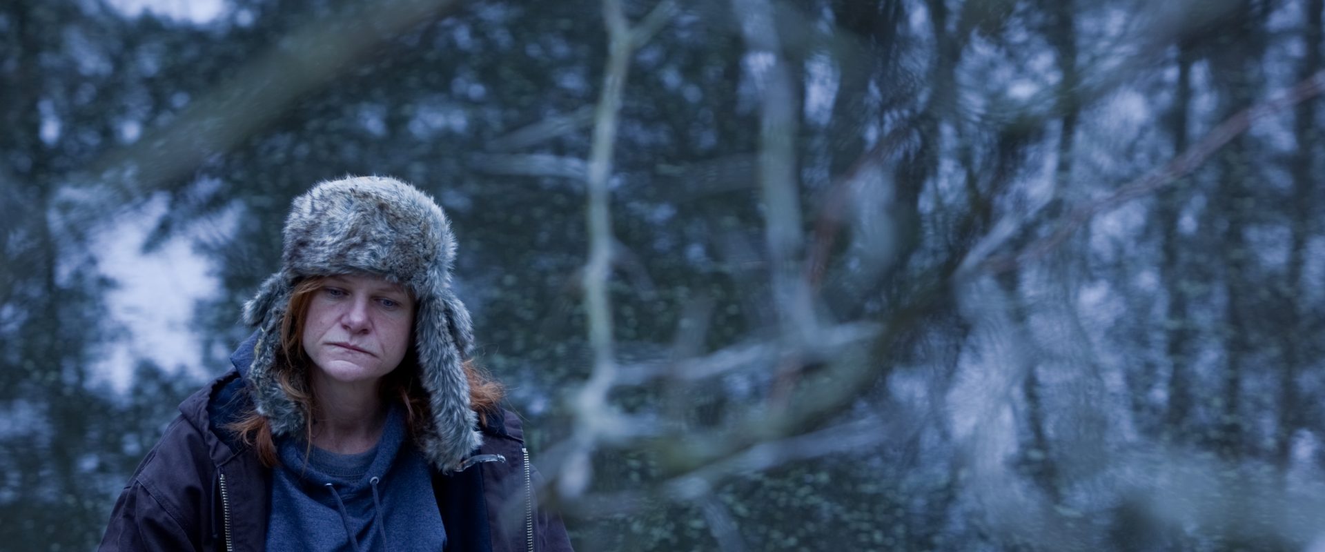 Winter's Bone background