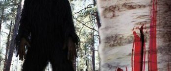 Sasquatch Mountain background