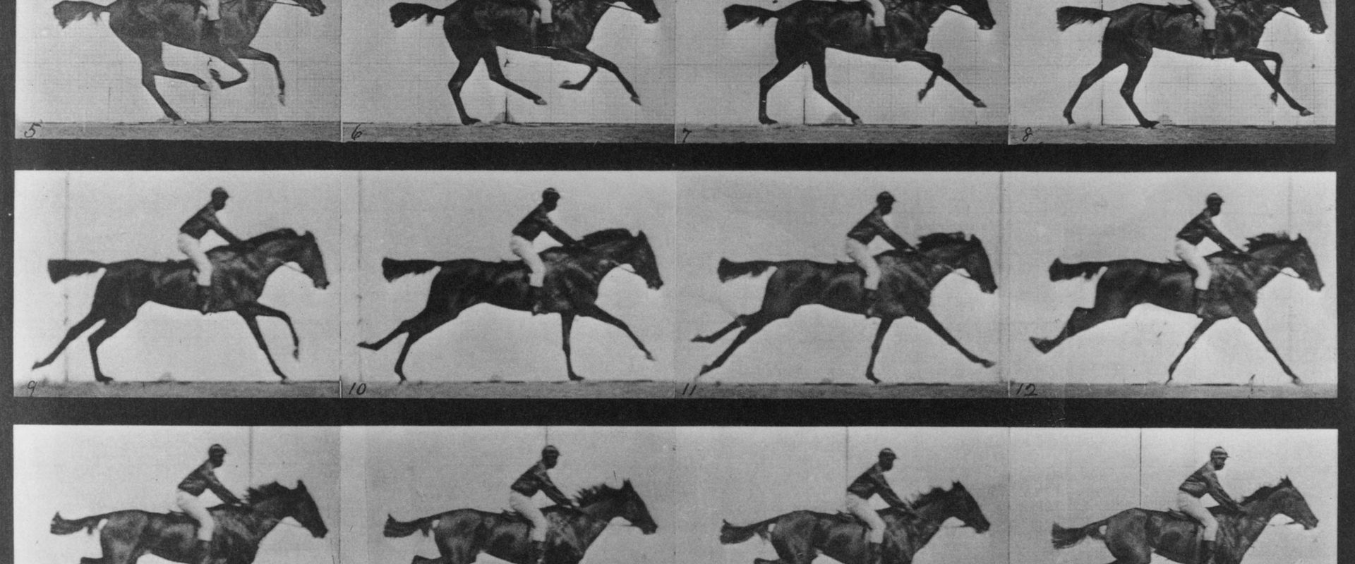 Sallie Gardner at a Gallop background