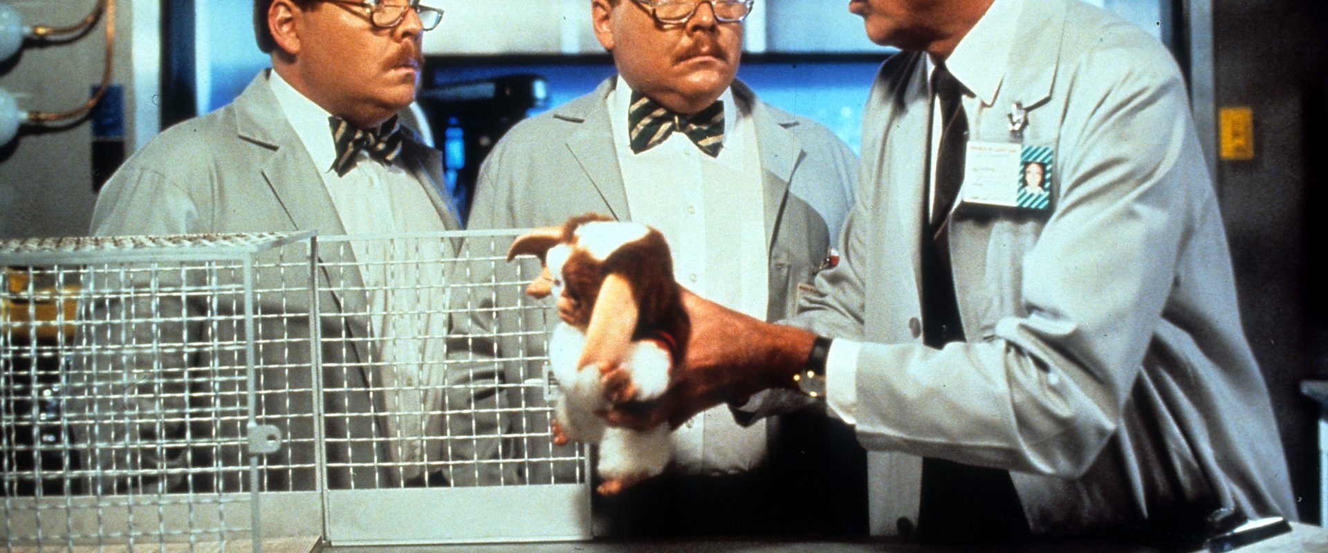 Gremlins 2: The New Batch background