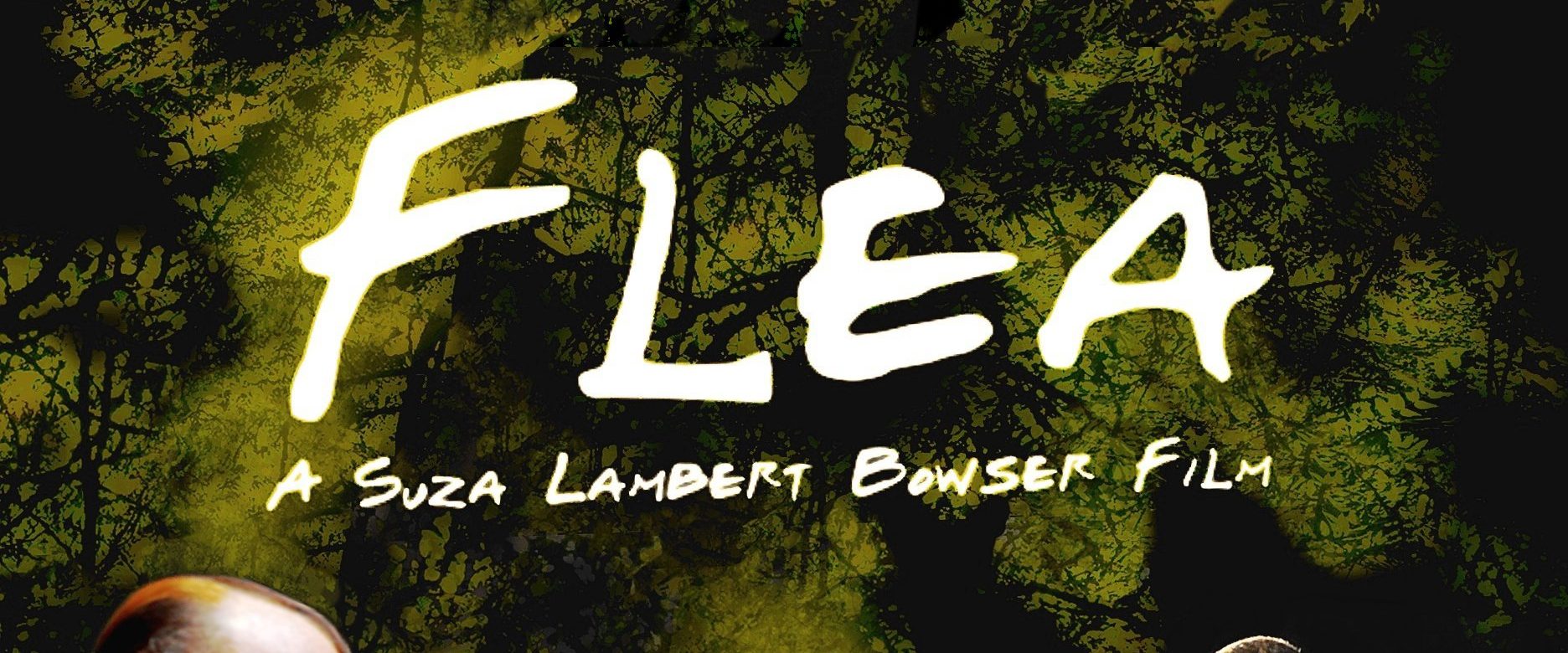 Flea background