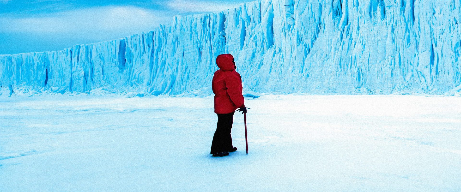 Antarctica: A Year on Ice background