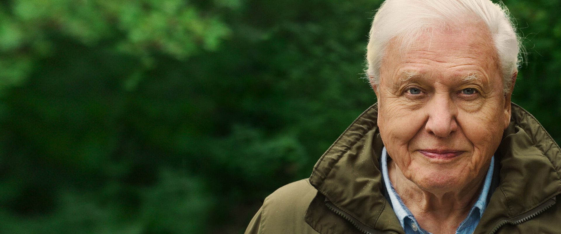 David Attenborough: A Life on Our Planet background