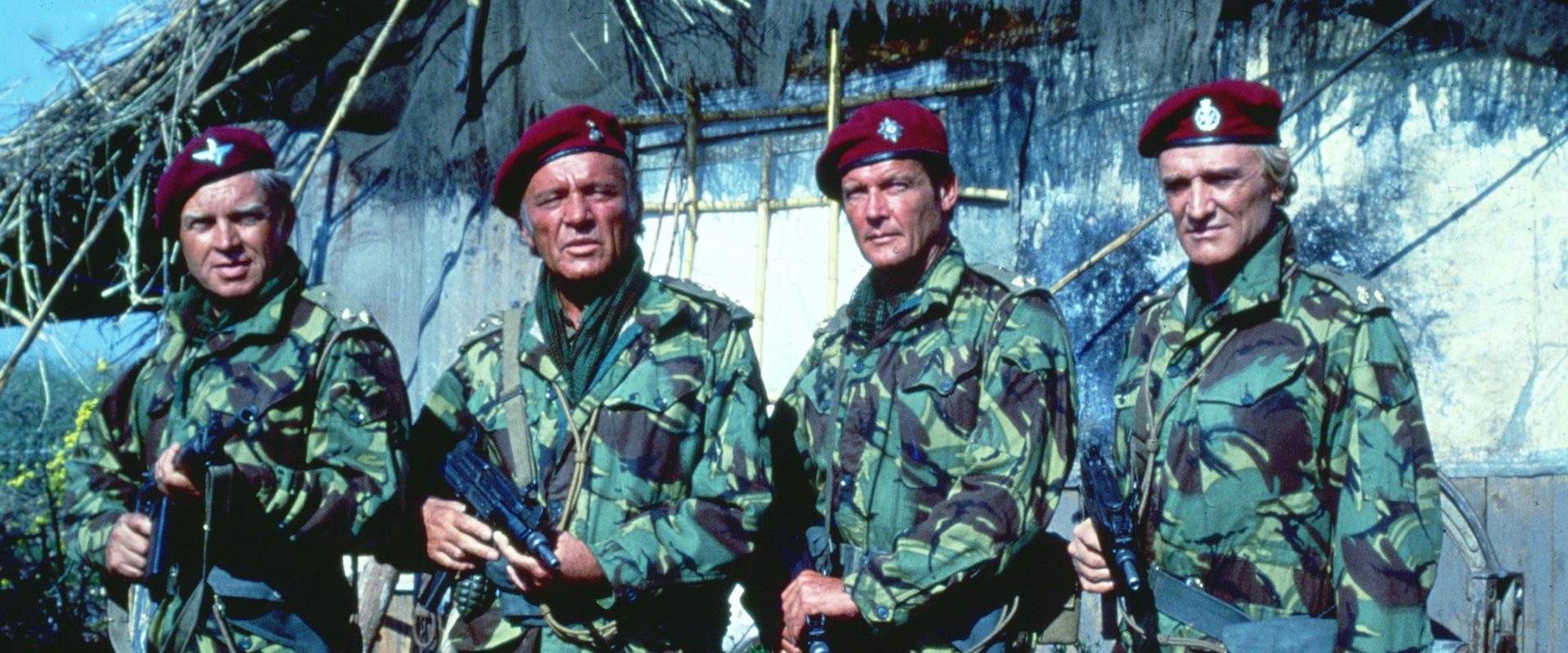 The Wild Geese background