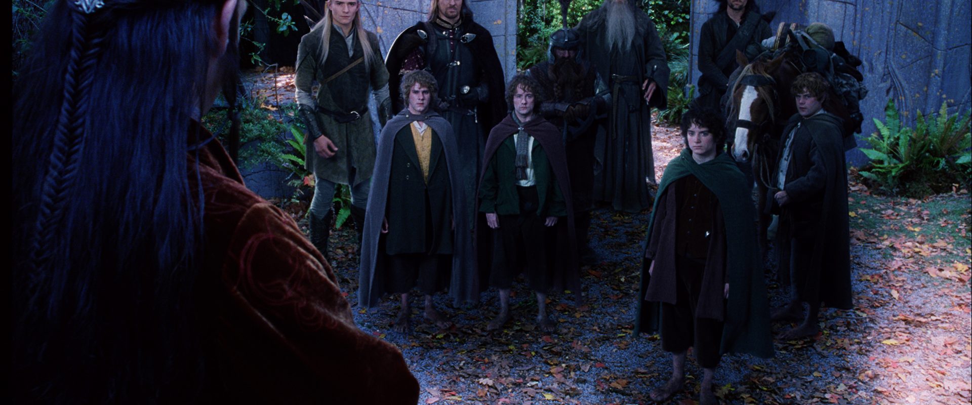 The Lord of the Rings: The Fellowship of the Ring background