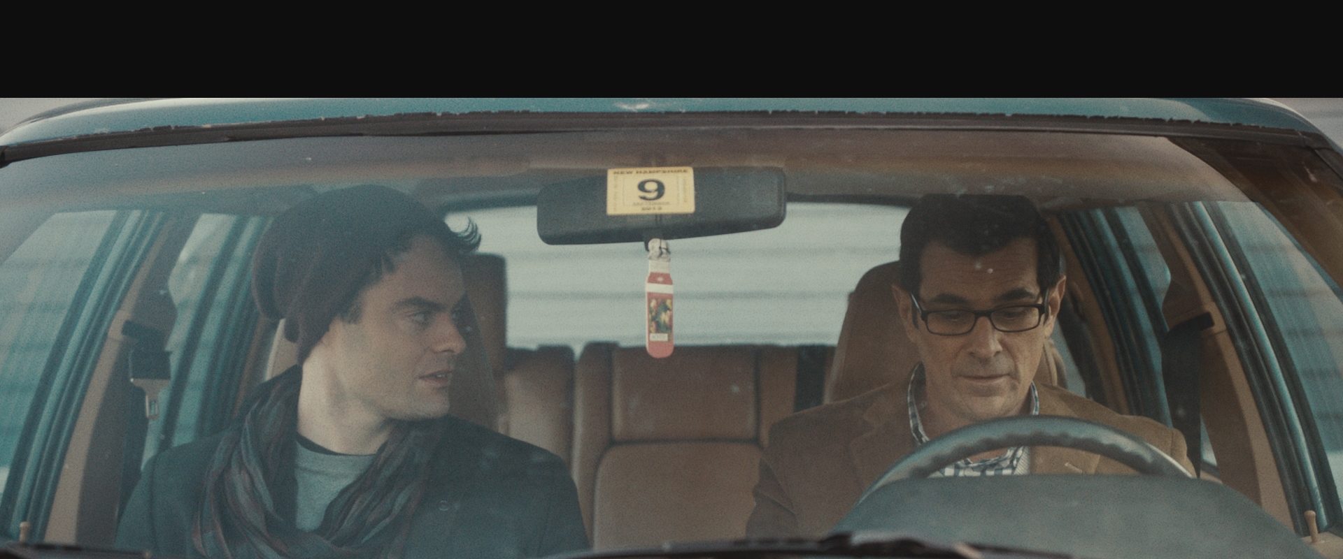 The Skeleton Twins background